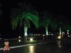 -清迈夜间动物园