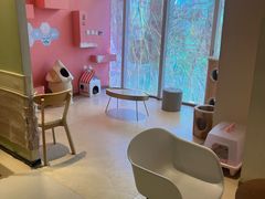 -藏猫猫咖啡主题馆(中央大道店)