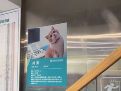 -伟伟宠物医院·CT影像中心·瑞派犬猫综合性门诊(汉口总院)