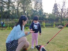 -前小桔亲子创意农场·草莓采摘·露营烧烤