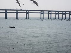 -黑石礁公园