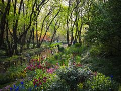 -上海共青森林公园