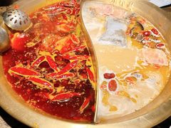 -小龙坎火锅(春熙太古里店)