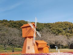 -苏州上方山国家森林公园