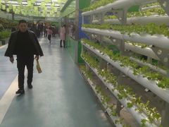 -兰陵国家农业公园