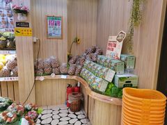 -百果园(大冲店)