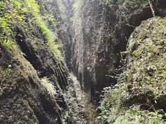 -青城山