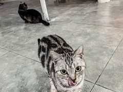 -极木²邸 人与宠物·互动社区