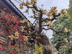 -成都杜甫草堂博物馆