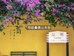-昆明冠生园·鲜花饼·面包蛋糕(老街店)