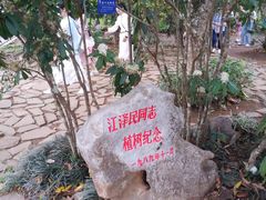 -中国科学院西双版纳热带植物园