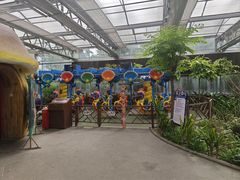 -南宫五洲植物乐园