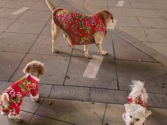 -汉森熊啤酒屋(雨耕山店)