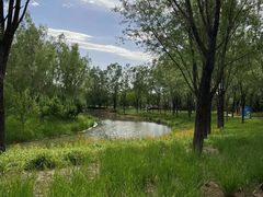 -东郊湿地公园