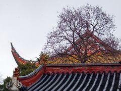 -南岳大庙