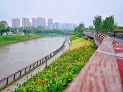 -府河摄影公园