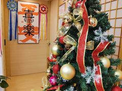 -猫十亿·布偶金渐层·曼基康矮脚猫舍(青年路店)