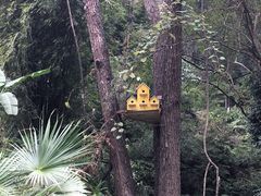 -韶关经律论国际酒店温泉