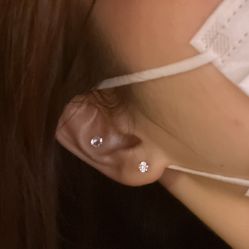 -花师傅