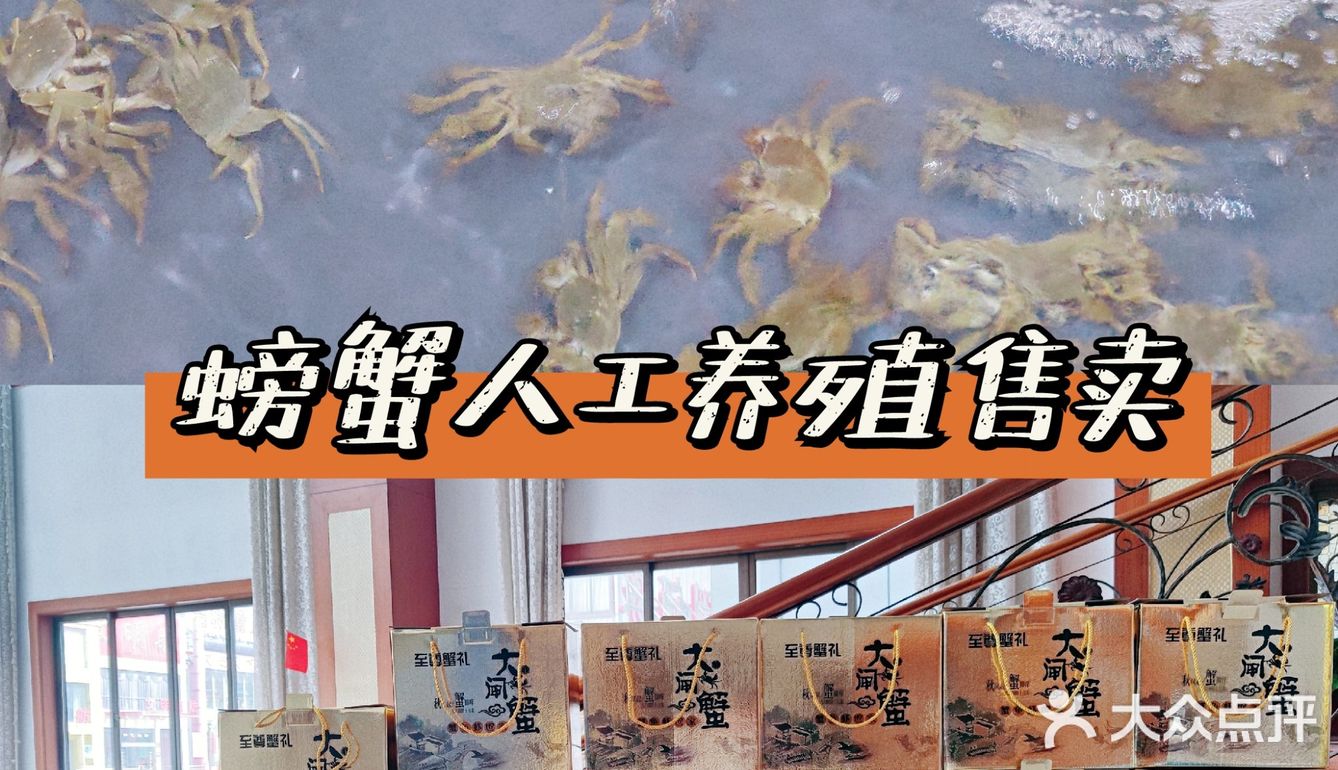 阳澄湖畔大闸蟹🎈山水蟹庄蟹全友🦀解锁秋日第一只螃蟹吧🔥