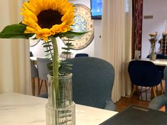 -伊斯坦布尔土耳其清真咖啡餐厅