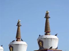-塔尔寺
