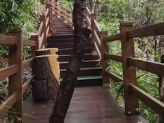 -海南霸王岭国家森林公园