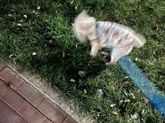 -佑安动物医院·全科·内窥镜中心(幸福巷店)