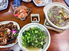 -小小饭店·休闲农庄·安吉松树林里的农家菜