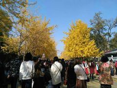 -辽宁大学(崇山校区)