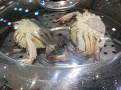 -海岛渔村大酒店(云霄路店)