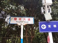-武汉大学-樱园