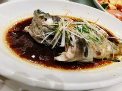 -頂好酒家·经典粤菜(海信广场店)