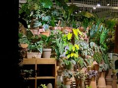 -自由生长植物工作室(深港花卉中心店)
