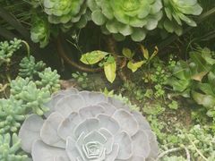 -悦哉·派对·草坪婚礼·围炉煮茶(三圣乡店)