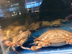 -帅哥买单(龙港店)
