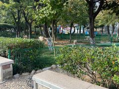 -贮水山儿童公园