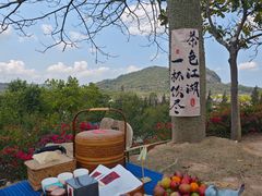 -白石龙音乐公园