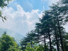 -峨眉山风景名胜区