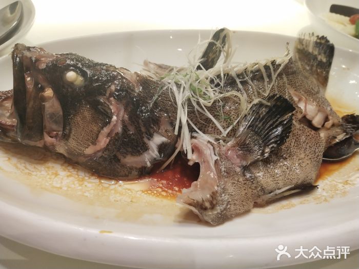 鱼乐轩·俄罗斯海鲜直供餐厅(群力店)清蒸石斑鱼图片