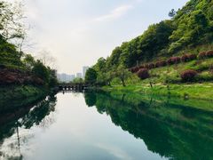 -桃花岭景区