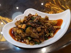 凉拌土鸡-胖大姐黄辣丁鱼庄(新津店)