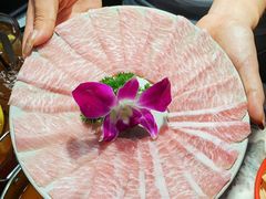 -禄婶鸡煲·打边炉