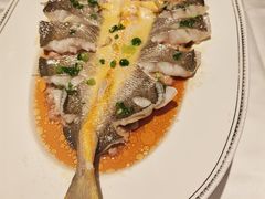 肉汁蒸大黄鱼-炳胜品味(珠江新城店)