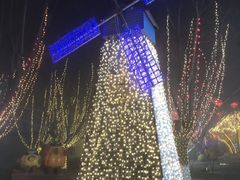 -北戴河集发农业梦想王国
