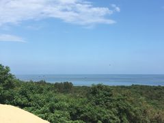 -翡翠岛