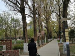 -哈尔滨文化公园