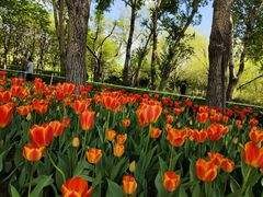 -长春公园(普阳街道)