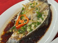 -先鲜鲫鱼粥