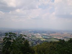 -杭州半山国家森林公园